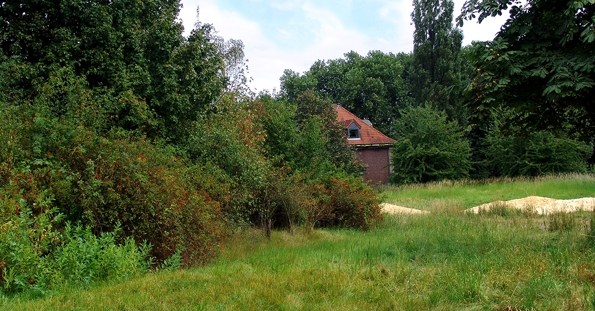 Die erste eröffnete Naturfläche in Herne liegt direkt neben der Biologischen Station. Foto: Wildnis für Kinder
