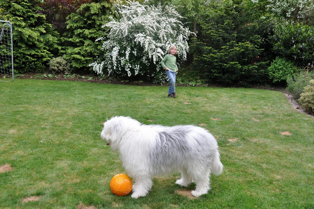 Junge und Hund im Garten