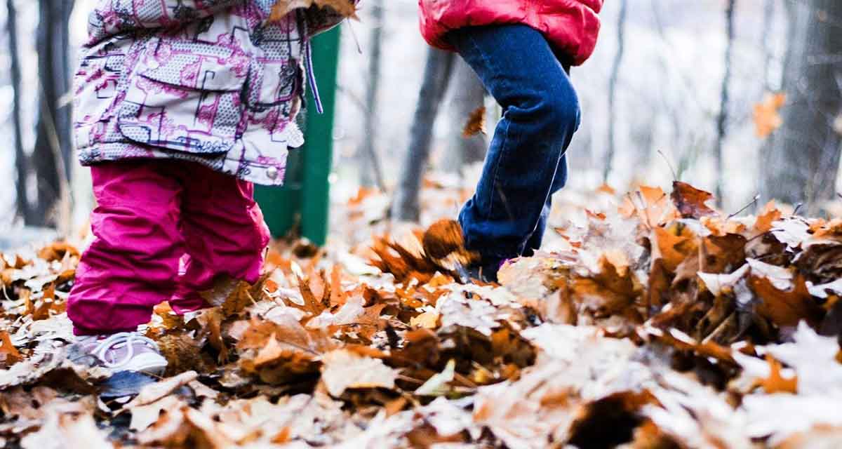 WALD- UND NATURSPIELPLÄTZE FÖRDERN KREATIVES SPIEL