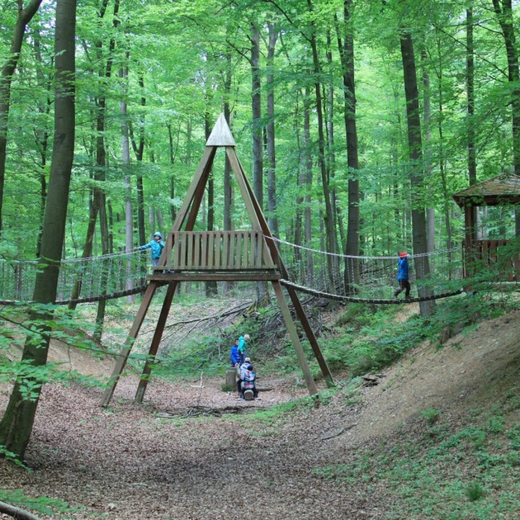 Spielen im Wald