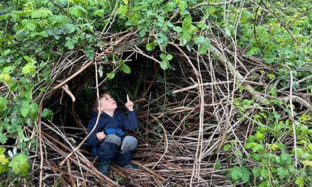 STADTKINDER SPIELEN IN DER WILDNIS
