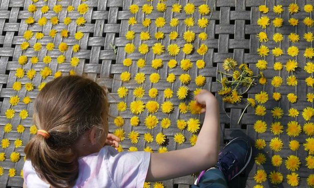 Lernziel Spielen: Wie Kinder das Spielen neu entdecken